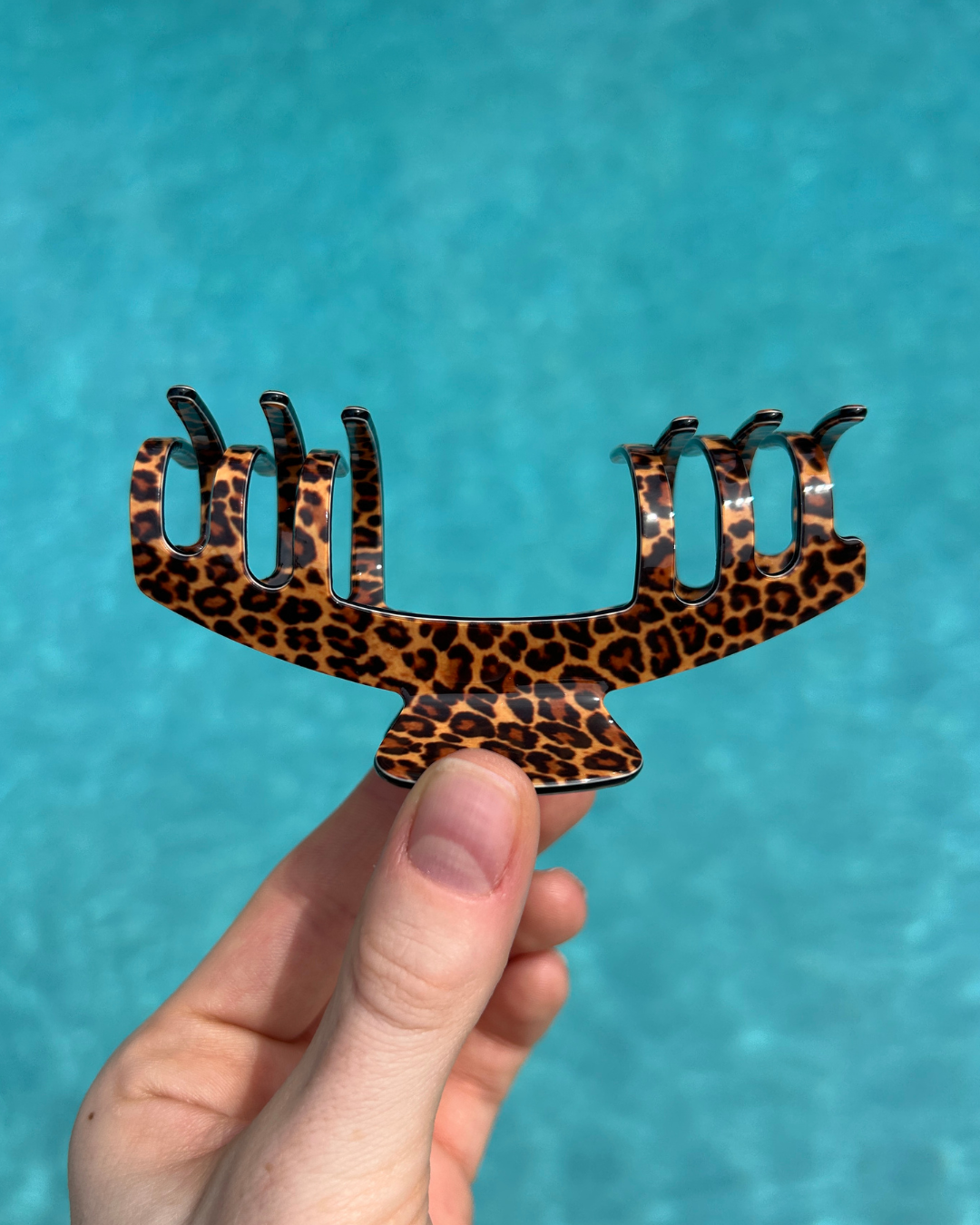 Trucker Claw Clips
