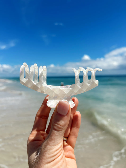Trucker Claw Clips